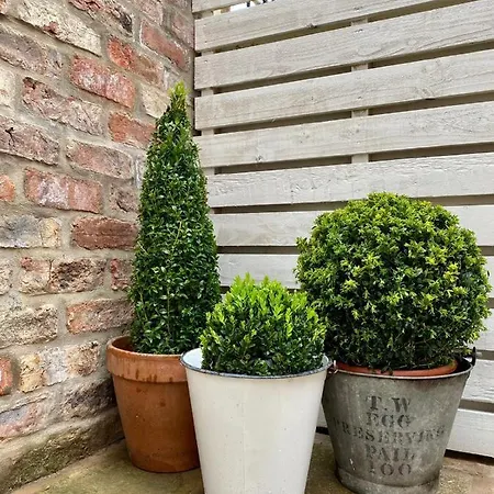 The Courtyard By Chateau Anna, - Free Parking