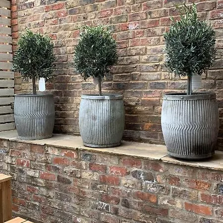 The Courtyard By Chateau Anna, - Free Parking *